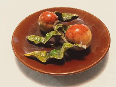  Palissy Ware Palissy Majolica 70 Portuguese Palissy majolica plate 