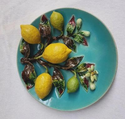  Palissy Ware Palissy Majolica Majolica French Menton
