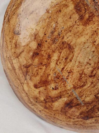  Palissy Ware Palissy Majolica Palissy majolica Plate menton
