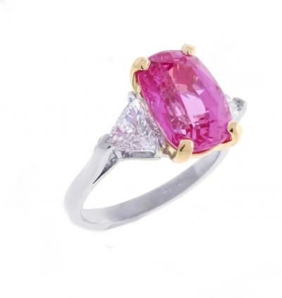  Pampillonia UNTITLED