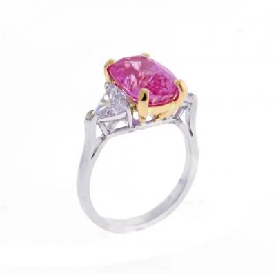  Pampillonia UNTITLED