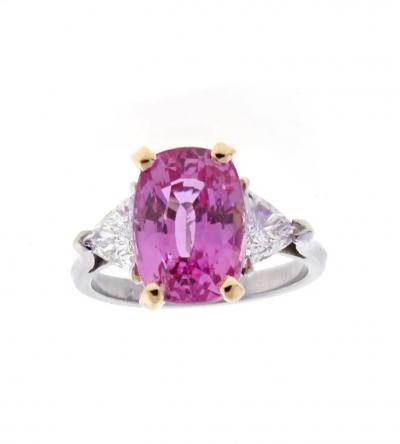  Pampillonia UNTITLED