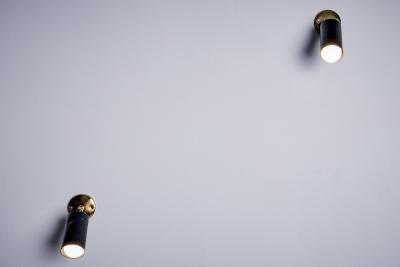  Parscot Pair of small sized Adjustable Brass Wall or Ceiling Lamps by Parscot