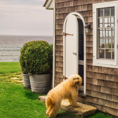  Pennoyer Newman Conical Strapped Pot 2 sizes