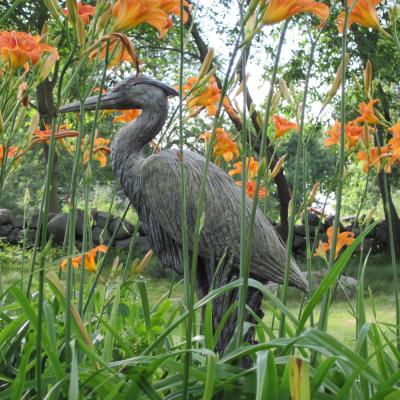 Pennoyer Newman Great Blue Heron
