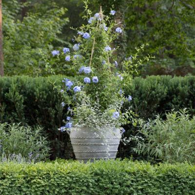  Pennoyer Newman Grecian Planter Large