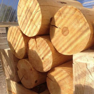  Pfeifer Studio Espira Hand Painted Log Table