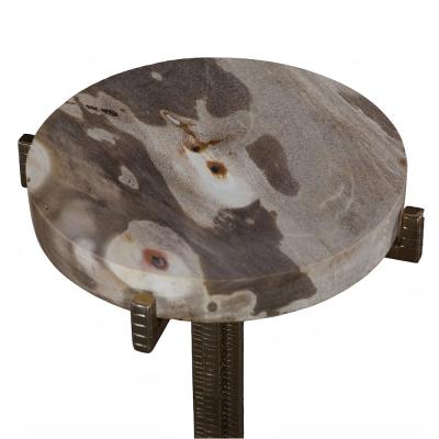 Pfeifer Studio Minerva Petrified Wood Drink Table
