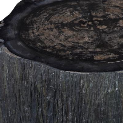  Pfeifer Studio Qara Petrified Cocktail Table