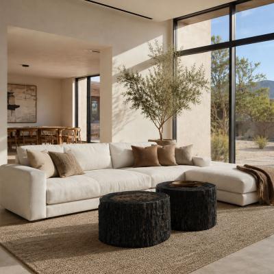  Pfeifer Studio Qara Petrified Cocktail Table