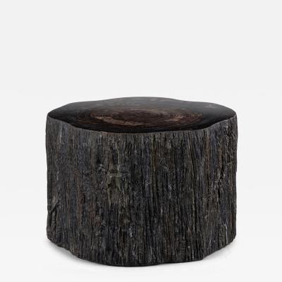  Pfeifer Studio Qara Petrified Cocktail Table