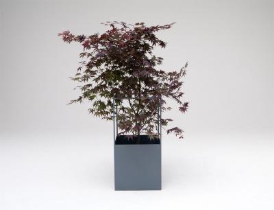  Phase Design Skyline Planter