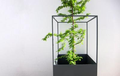  Phase Design Skyline Planter