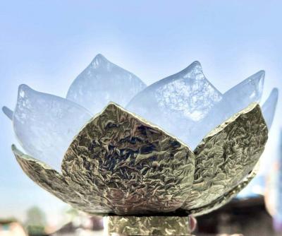  Phoenix Gallery Bespoke LOTUS By Phoenix