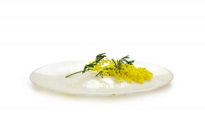 Pieruga Marble Big Bowl in white Onyx carved by hand in Italy