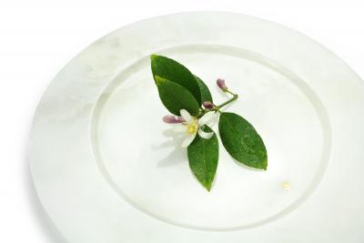 Pieruga Marble Set of 4 charger plates in white onyx hand carved in Italy