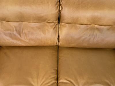  Poltronova Zelda Sofa by Sergio Asti for Poltronova