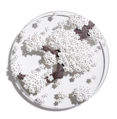  RAN HWANG Ode to Full Moon 0233 2023