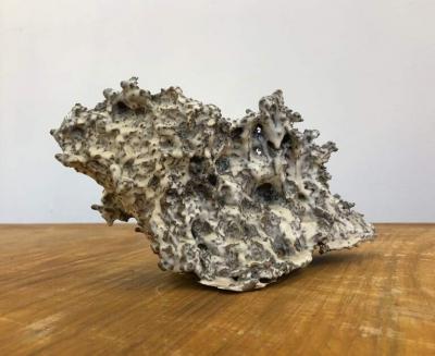  RICHARD FISHMAN 13 LHG 2020