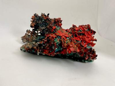  RICHARD FISHMAN 31 LHG 2020