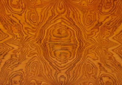  Reiners Mobelfabrik A Swedish Reiners Mjolby Elmroot and Palisander Side table Circa 1938