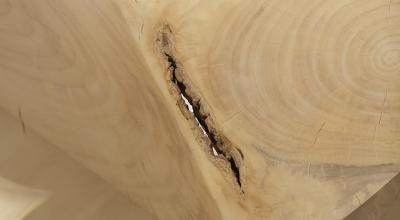 Romain Paris Garnault Delphis chair by Romain Paris Garnault