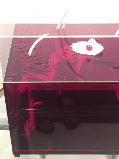  Roselli STRIKING RED CLEAR LUCITE FROG AND DRAGONFLY POP ART DIORAMA