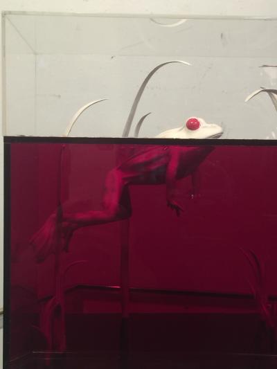 Roselli STRIKING RED CLEAR LUCITE FROG AND DRAGONFLY POP ART DIORAMA