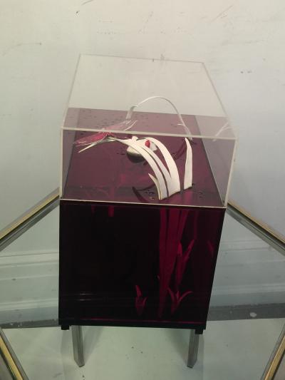 Roselli STRIKING RED CLEAR LUCITE FROG AND DRAGONFLY POP ART DIORAMA