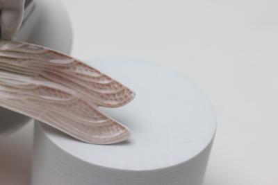  Rosenthal Rosenthal Porcelain Figure of Ground Fairy Riding on Dragonfly 1912 Germany