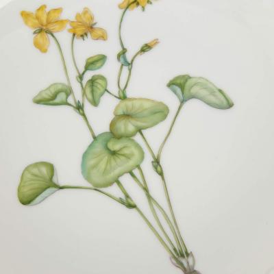  Royal Copenhagen Set of Twelve Royal Copenhagen Flora Danica Porcelain Side Plates