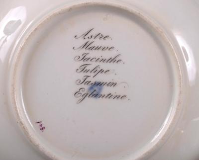  Royal Vienna Porcelain Vienna Botanical Cup and Saucer c 1823