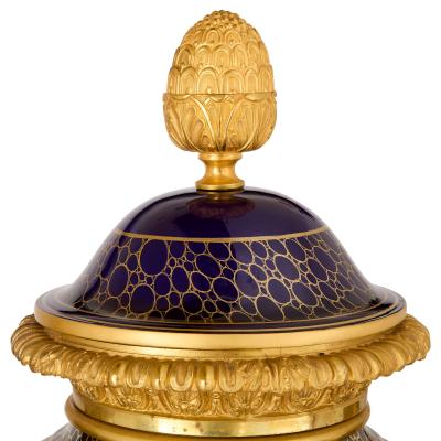  S vres Porcelain Manufacture Nationale de S vres Large French 19th century ormolu mounted S vres style vases