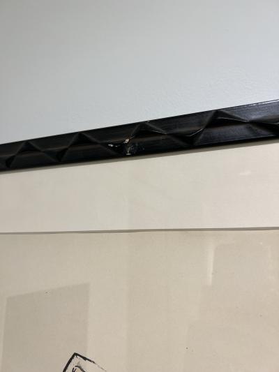  SEM Georges Goursat SEM 4106