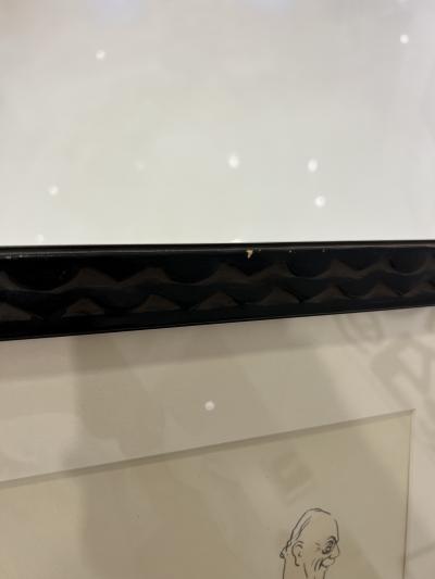  SEM Georges Goursat SEM 4134