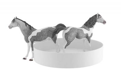 Sacha Walckhoff Equus 5