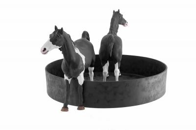  Sacha Walckhoff Equus 6