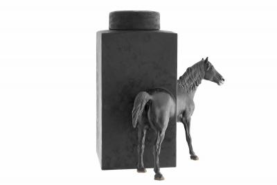  Sacha Walckhoff Equus 7