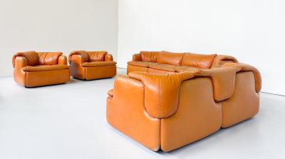  Saporiti Confidential Seating Set by Alberto Rosselli for Saporiti