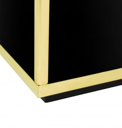  Saporiti Saporiti Pedestal in Black Lucite with Brass Trim 1970s