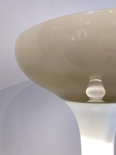  Selenova Mid Century Modern Floor Lamp by Carlo Nason for Selenova