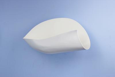  Serge Mouille USA Serge Mouille Conche Sconce