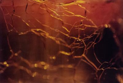  Shelley Harrison Color Abstract Photograph