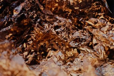  Shelley Harrison Color Photograph Of Silver Foil
