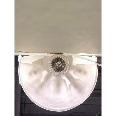  SimoEng Set of Two Contemporary Venetian Sanded Murano Style Glass Floreal Wall Sconces