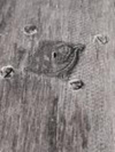  Sue et Mare Sue et Mare stool