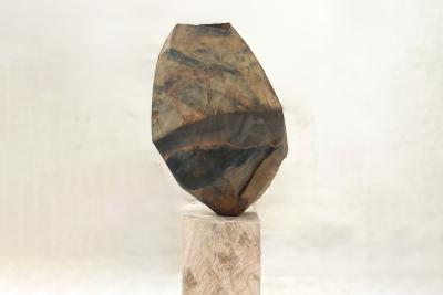  Sylvia Eustache Rools and J r me Pereira Carbonif re III