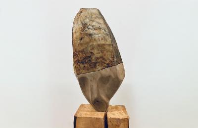  Sylvia Eustache Rools and J r me Pereira Carboniferous IV