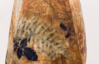  Sylvia Eustache Rools and J r me Pereira Carboniferous IV