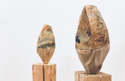  Sylvia Eustache Rools and J r me Pereira Carboniferous IV